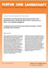 Arterhaltung und Wiedereinbürgerungsversuche für die atlantischen Störe (Acipenser sturio und A. oxyrinchus) im Nord- und Ostseeeinzugsgebiet