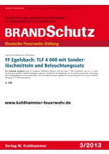 FF Egelsbach: TLF 4000 mit Sonderlöschmitteln und Beleuchtungssatz