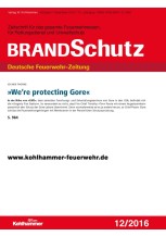 "We`re protecting Gore"