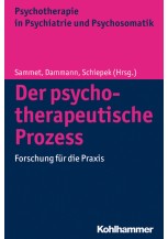 Der psychotherapeutische Prozess
